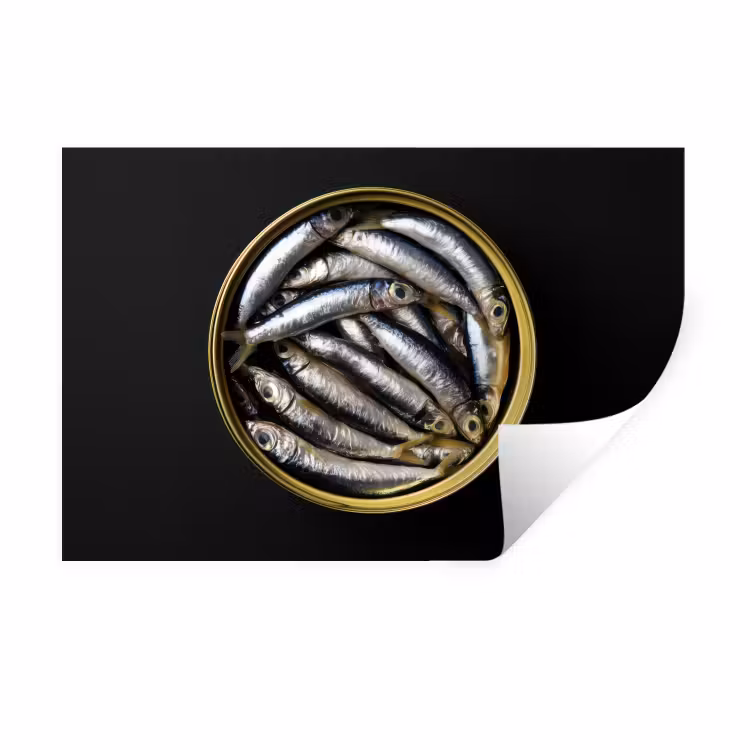 Muursticker - Sardines - Vissen - Rond - Zwart — 1