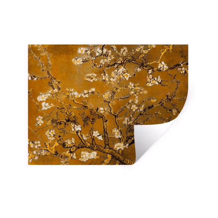 Muursticker - Amandelbloesem - Kunst - Van Gogh - Goud — 1