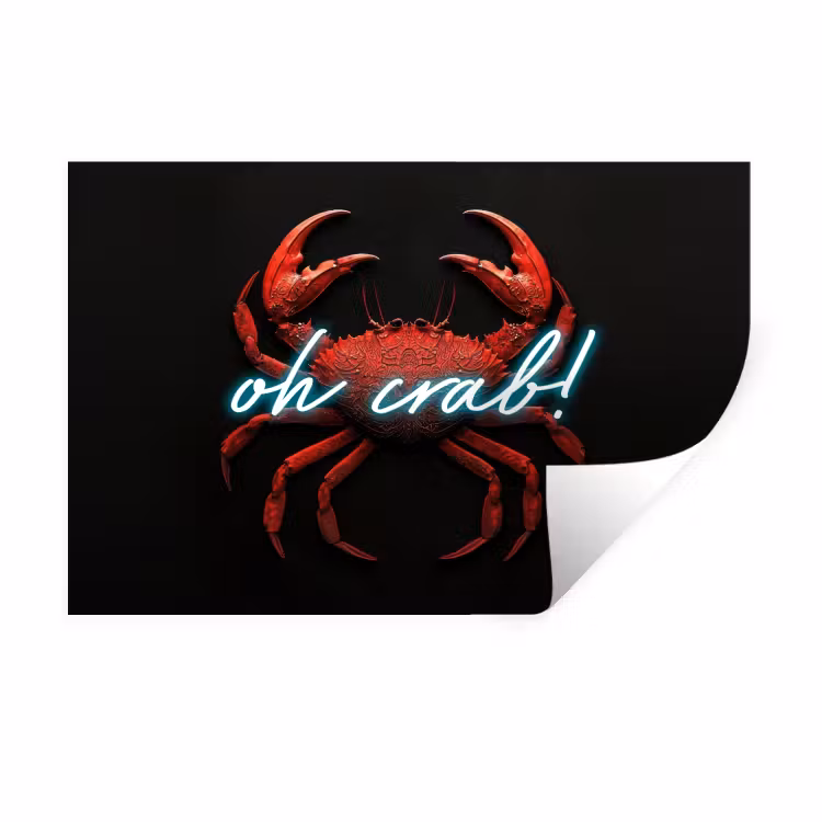 Muursticker - Krab - Rood - Neon - Quote — 1
