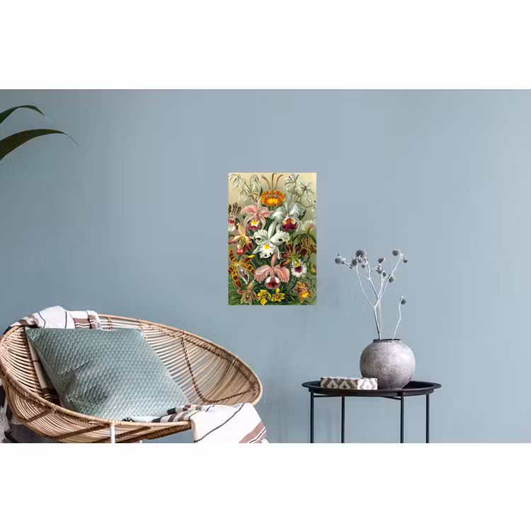 Muursticker - Planten - Natuur - Bloemen - Ernst Haeckel — 4
