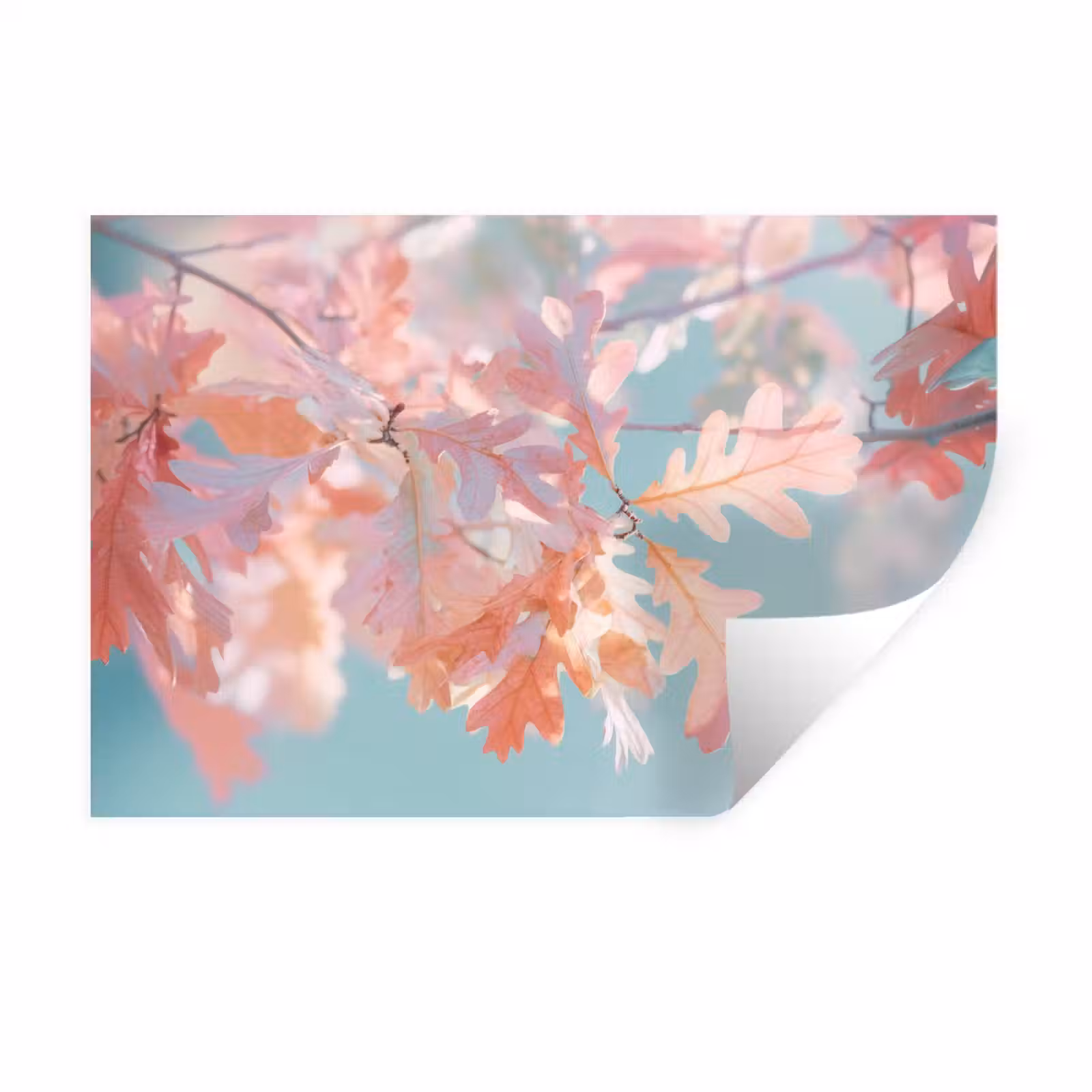 Muursticker - Eikenbladeren - Takken - Roze — 1