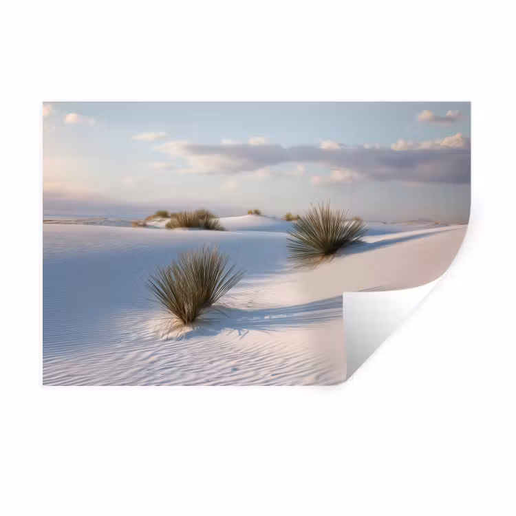 Muursticker - Duinen - Gras - Wolken - Beige — 1