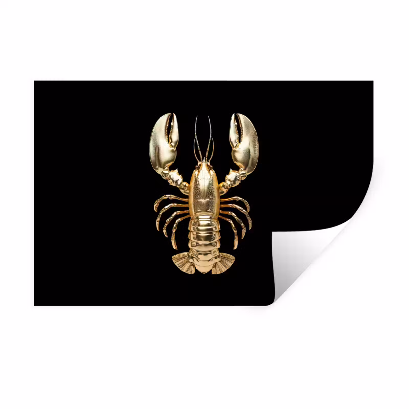 Muursticker - Kreeft - Goud - Textuur - Zwart — 1