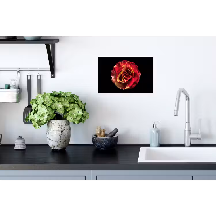 Muursticker - Bloem - Roos - Rood - Zwart — 2