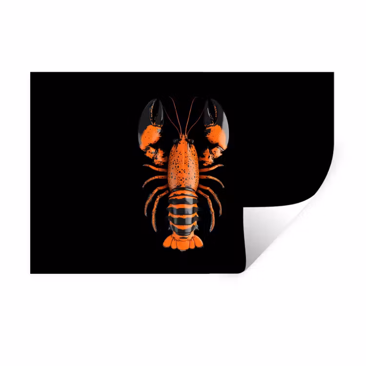 Muursticker - Kreeft - Oranje - Zwart - Modern — 1