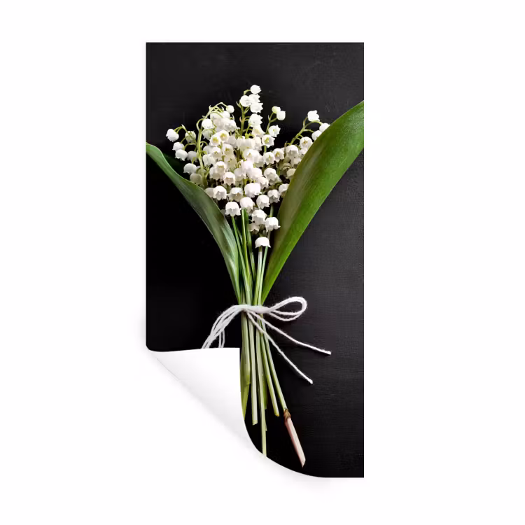 Muursticker - Lelietjes van dalen - Bloemen - Stilleven - Flora — 1