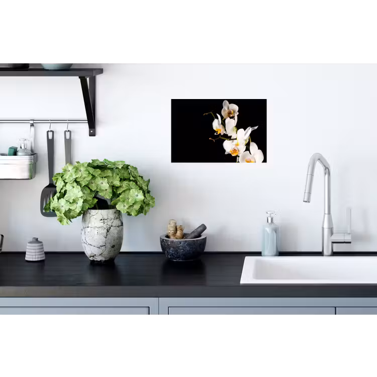 Muursticker - Orchidee - Bloemen - Planten - Botanisch — 2