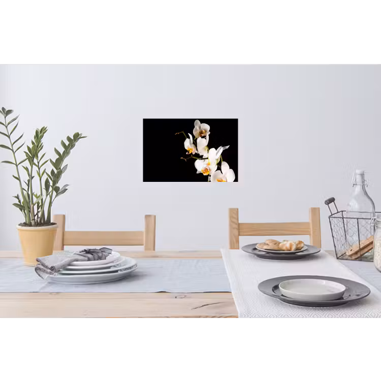 Muursticker - Orchidee - Bloemen - Planten - Botanisch — 3