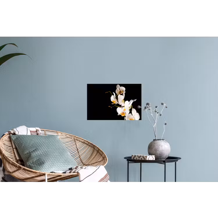 Muursticker - Orchidee - Bloemen - Planten - Botanisch — 4