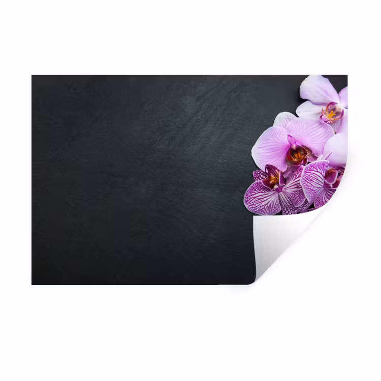 Muursticker - Orchidee - Bloemen - Roze - Flora — 1