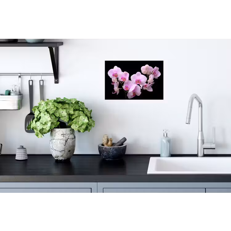 Muursticker - Orchidee - Bloemen - Roze - Flora — 2
