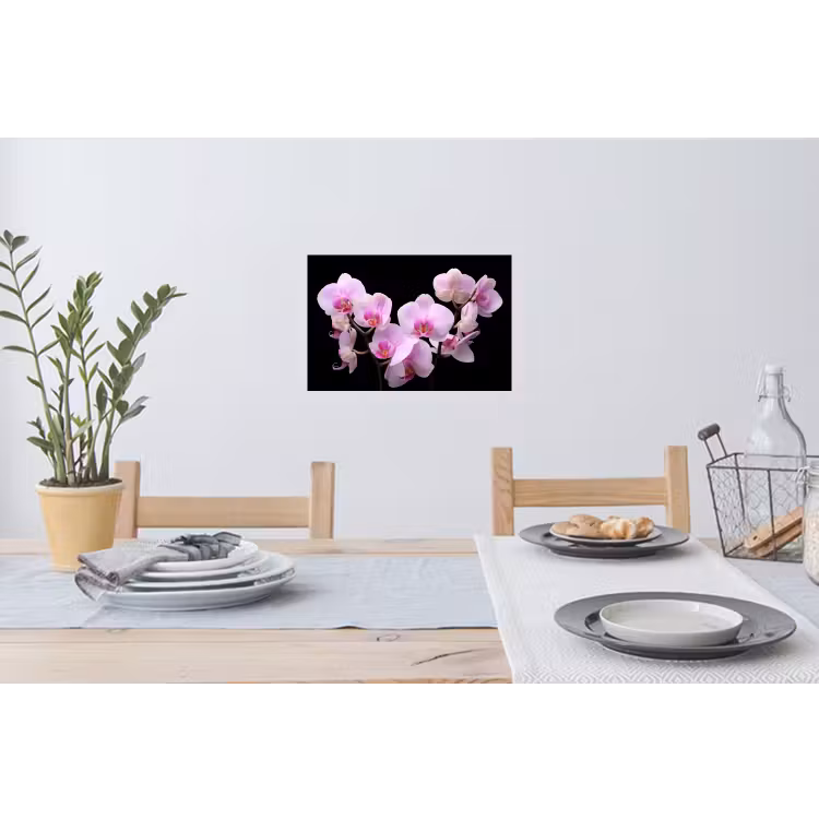 Muursticker - Orchidee - Bloemen - Roze - Flora — 3