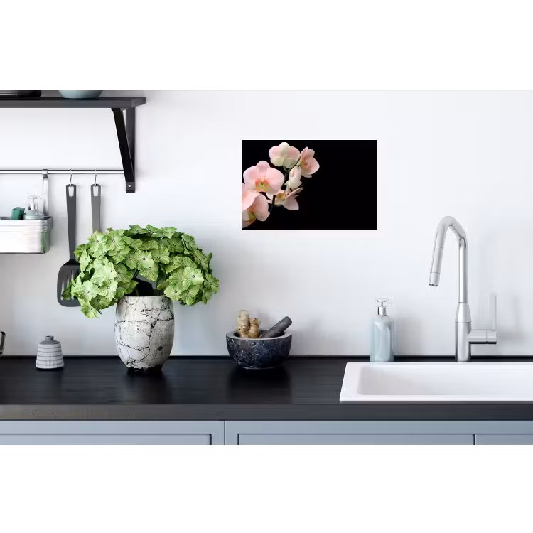 Muursticker - Orchidee - Bloemen - Roze - Stilleven - Flora — 2