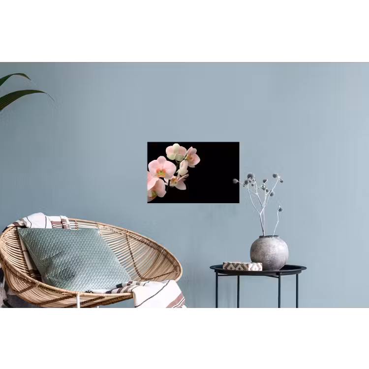 Muursticker - Orchidee - Bloemen - Roze - Stilleven - Flora — 4