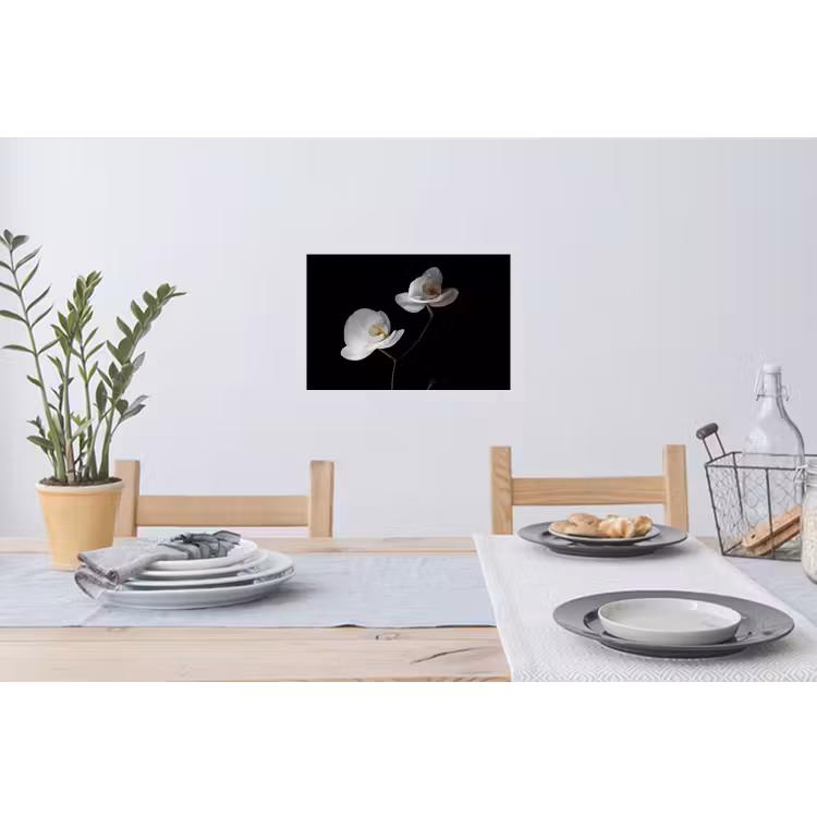 Muursticker - Orchidee - Bloemen - Zwart - Wit - Stilleven — 3