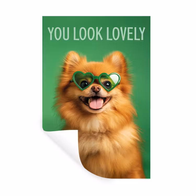 Muursticker - Hond - Zonnebril - Valentijn - Love — 1