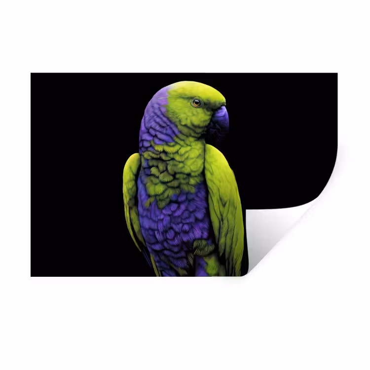 Muursticker - Papegaai - Veren - Opvallend - Groen — 1