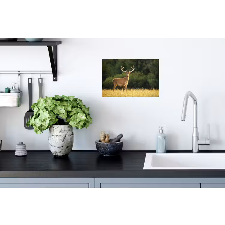 Muursticker - Hert - Gewei - Gras - Natuur - Dieren - Groen — 2