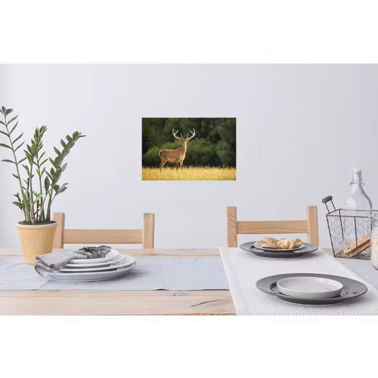 Muursticker - Hert - Gewei - Gras - Natuur - Dieren - Groen — 3