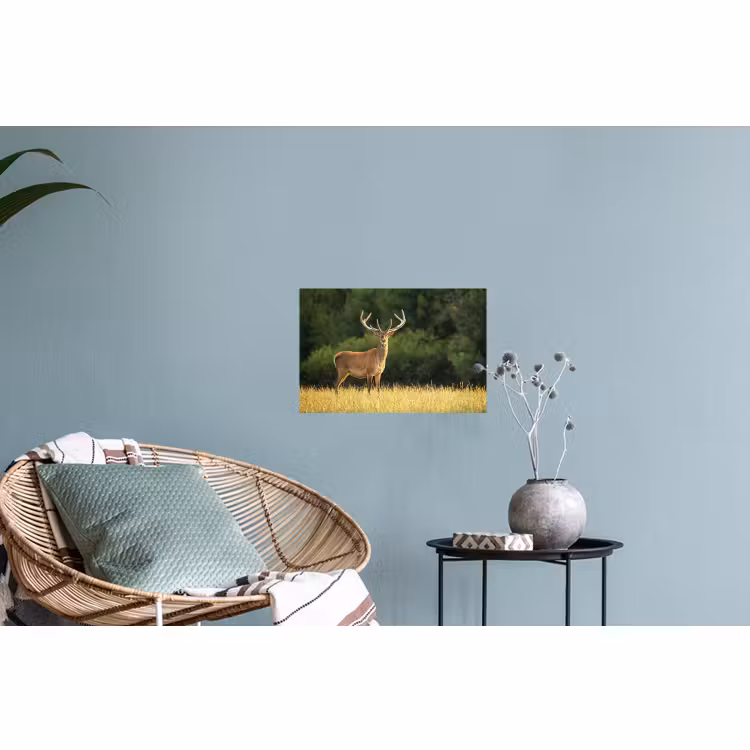 Muursticker - Hert - Gewei - Gras - Natuur - Dieren - Groen — 4