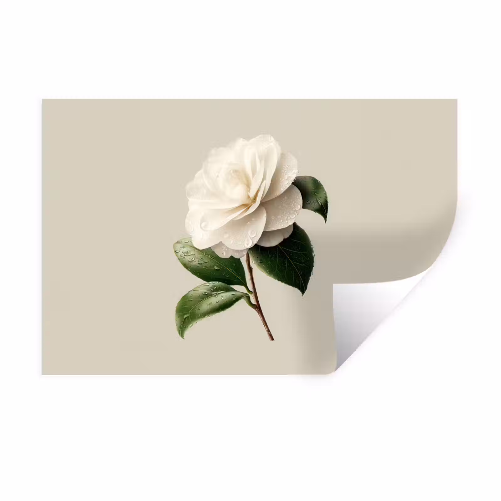 Muursticker - Cameliabloem - Wit - Groen — 1