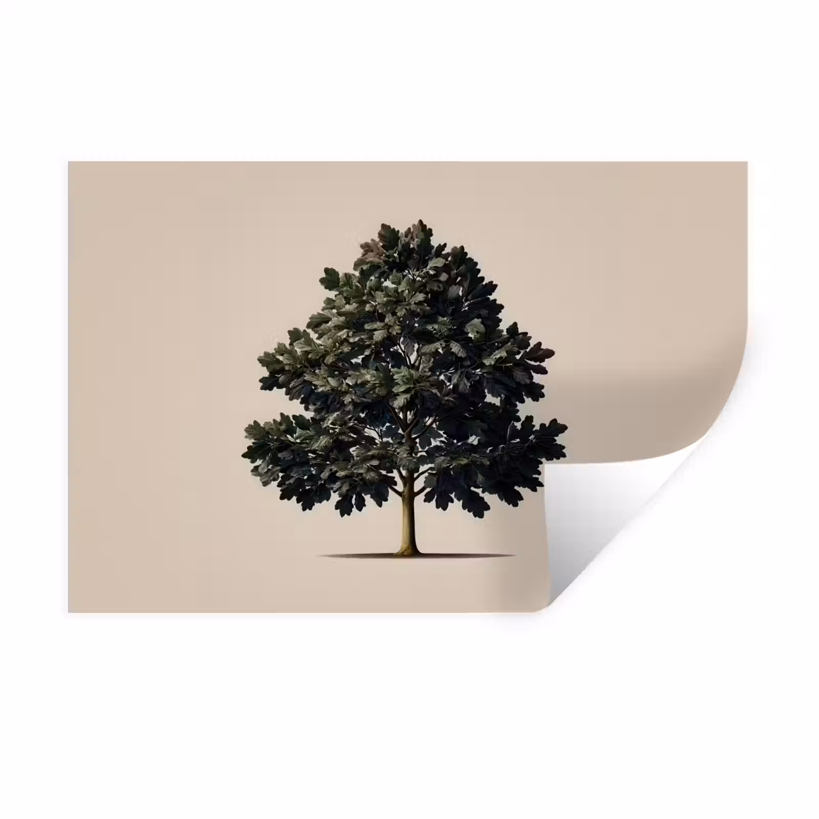 Muursticker - Eikenboom - Schaduw - Egaal — 1