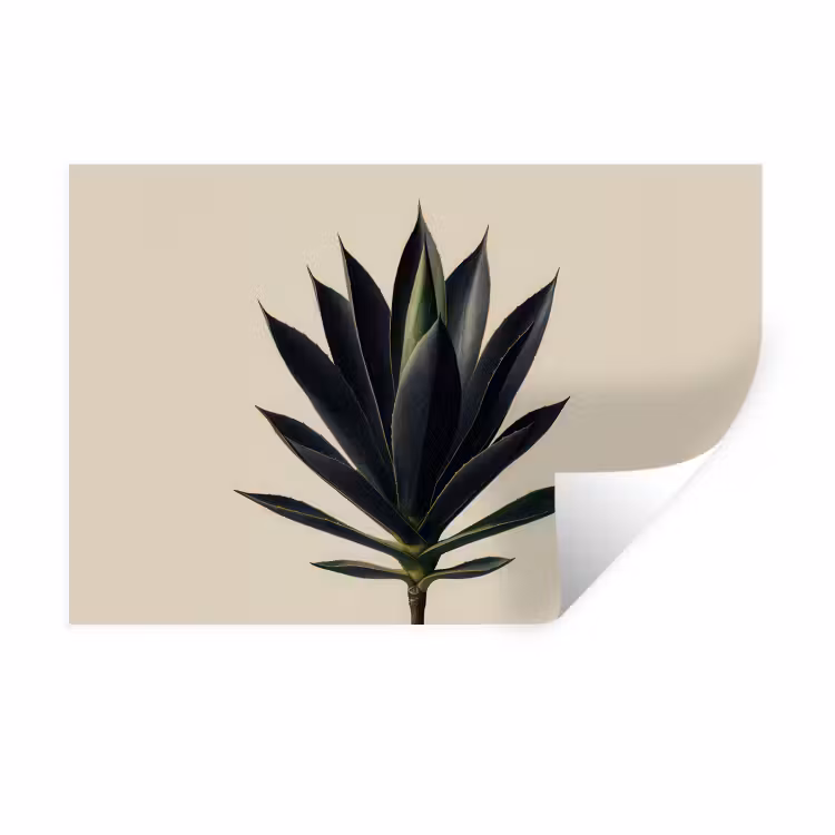 Muursticker - Agaveplant - Symmetrisch - Groen — 1