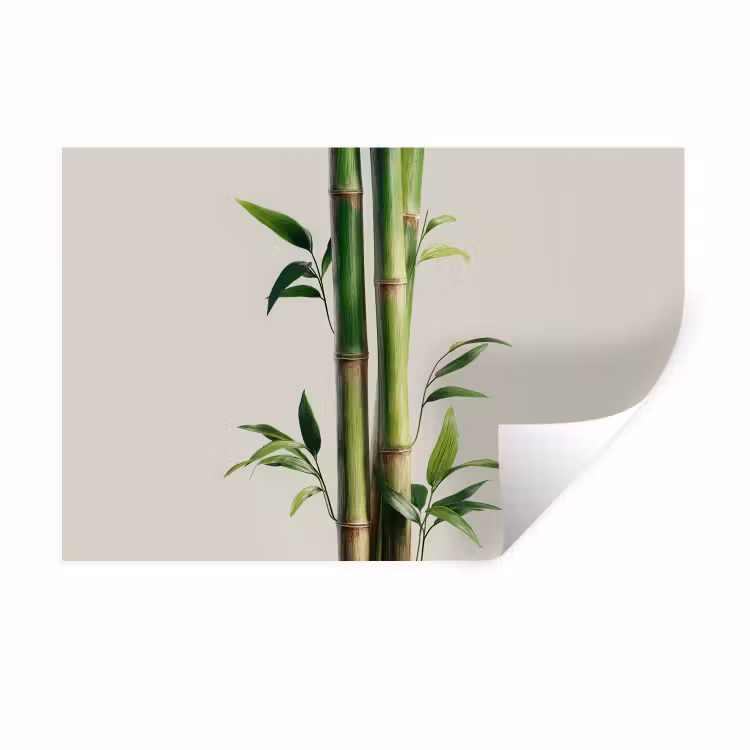 Muursticker - Bamboestengels - Sierlijk - Groen — 1