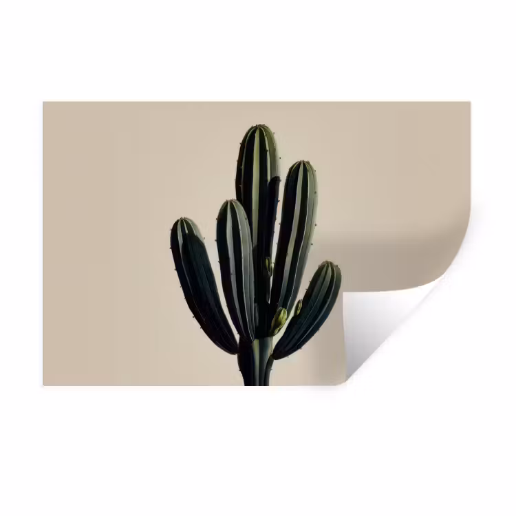 Muursticker - Cactus - Subtiel - Groen — 1