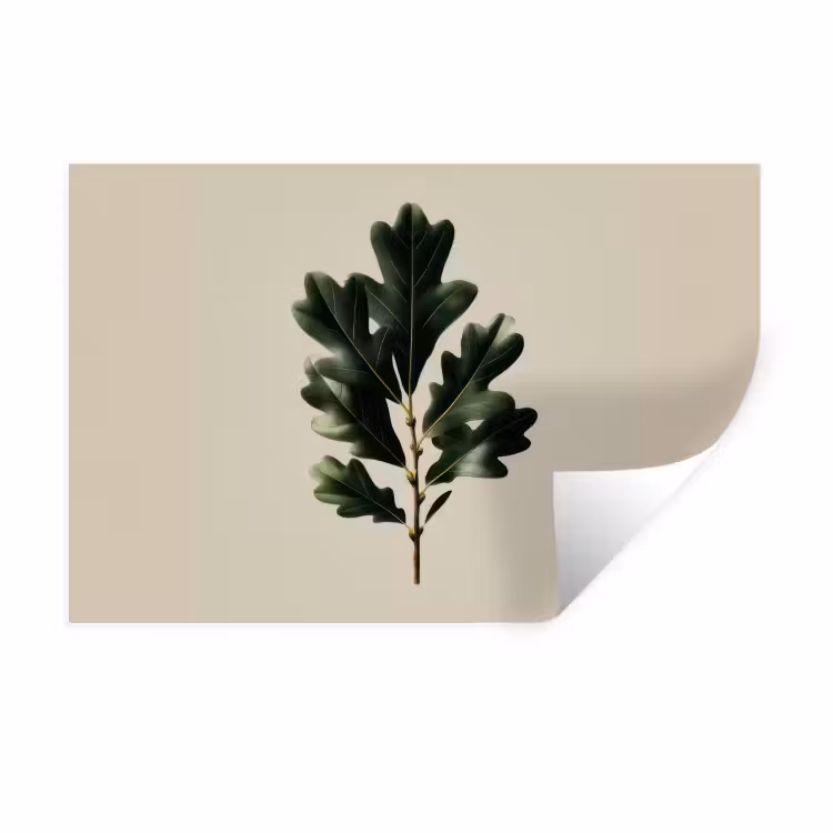 Muursticker - Eikenbladeren - Beige - Groen - Golvende randen — 1
