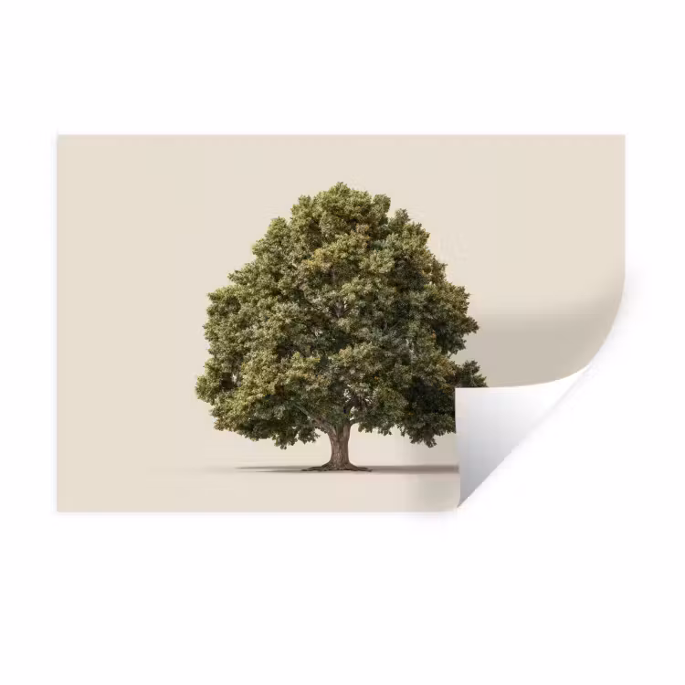 Muursticker - Eikenboom - Groen - Lichte achtergrond — 1
