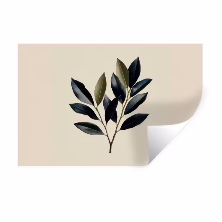 Muursticker - Ovaal - Olijfgroen - Simpel — 1