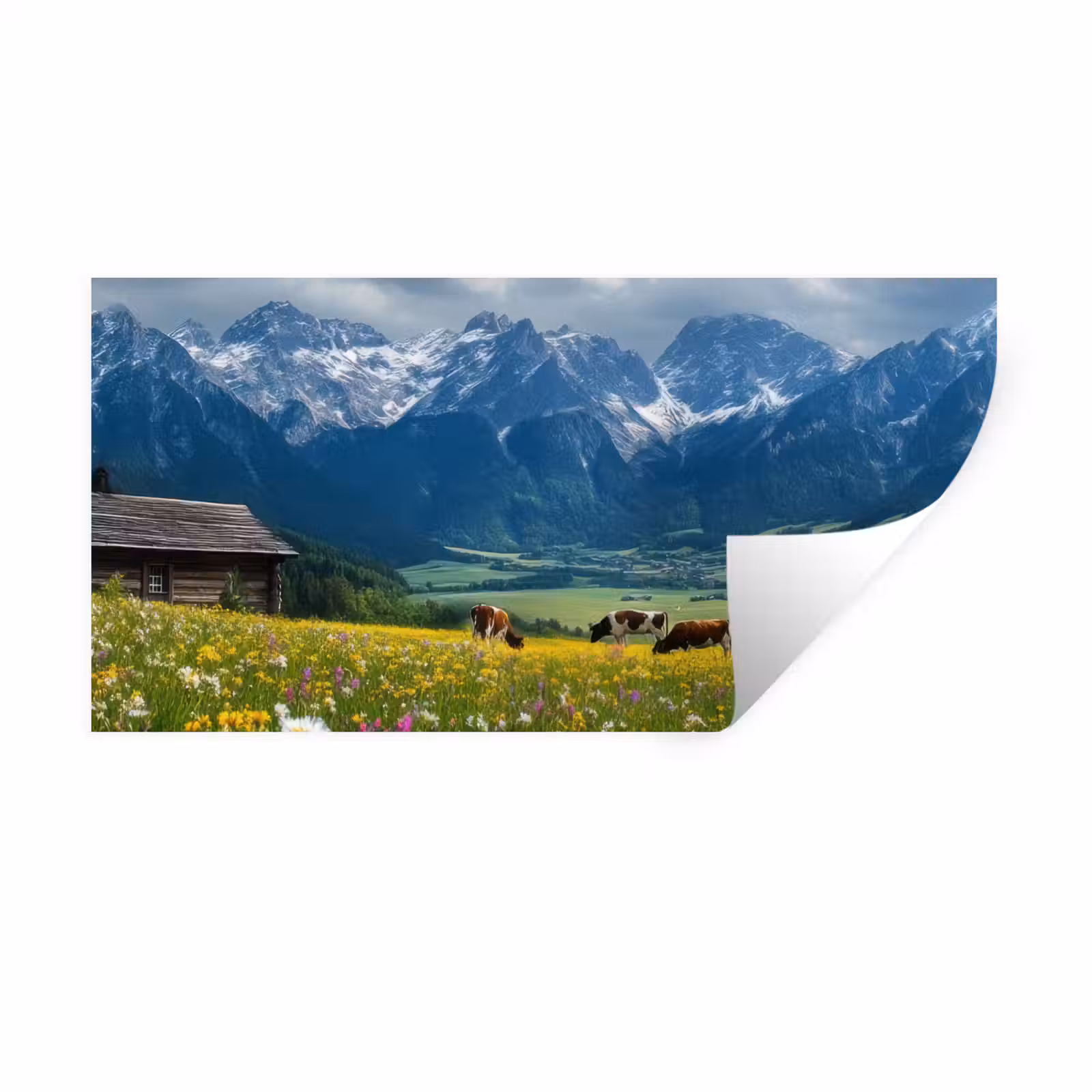 Muursticker - Alpen - Weide - Bergen - Koeien — 1