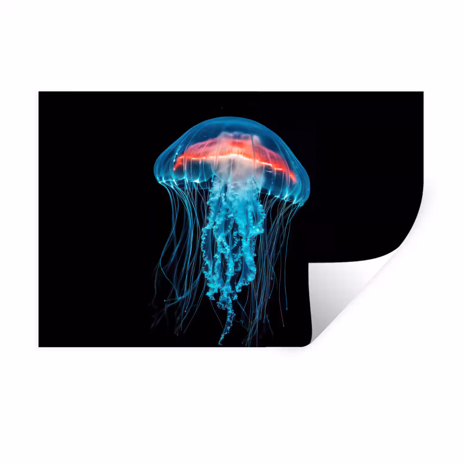 Muursticker - Kwal - Tentakels - Blauw - Licht — 1