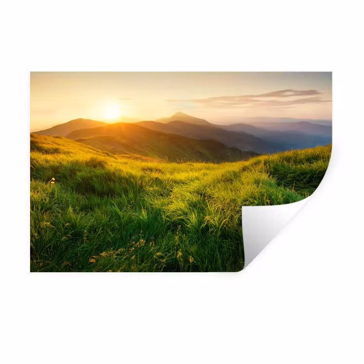 Muursticker - Gras - Heuvels - Zon - Natuur - Landschap — 1