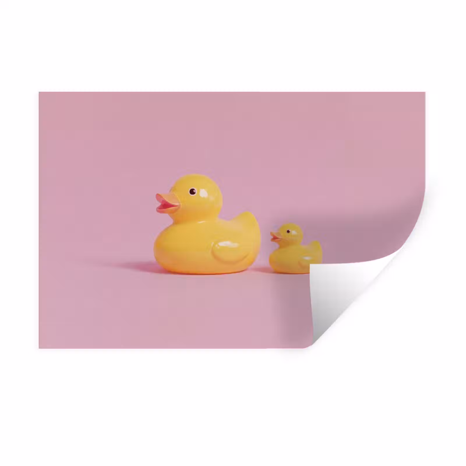 Muursticker - Eendjes - Vrolijk - Roze — 1