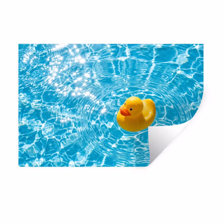 Muursticker - Badeend - Dobberen - Blauw — 1