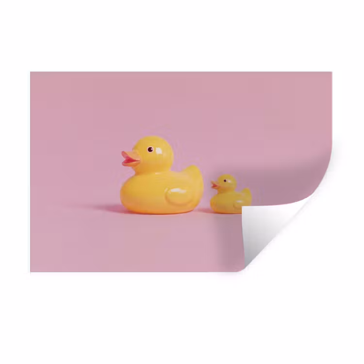 Muursticker - Eendjes - Vrolijk - Roze — 1