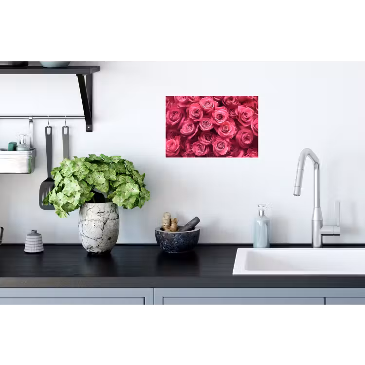 Muursticker - Rozen - Pink - Bloem — 2