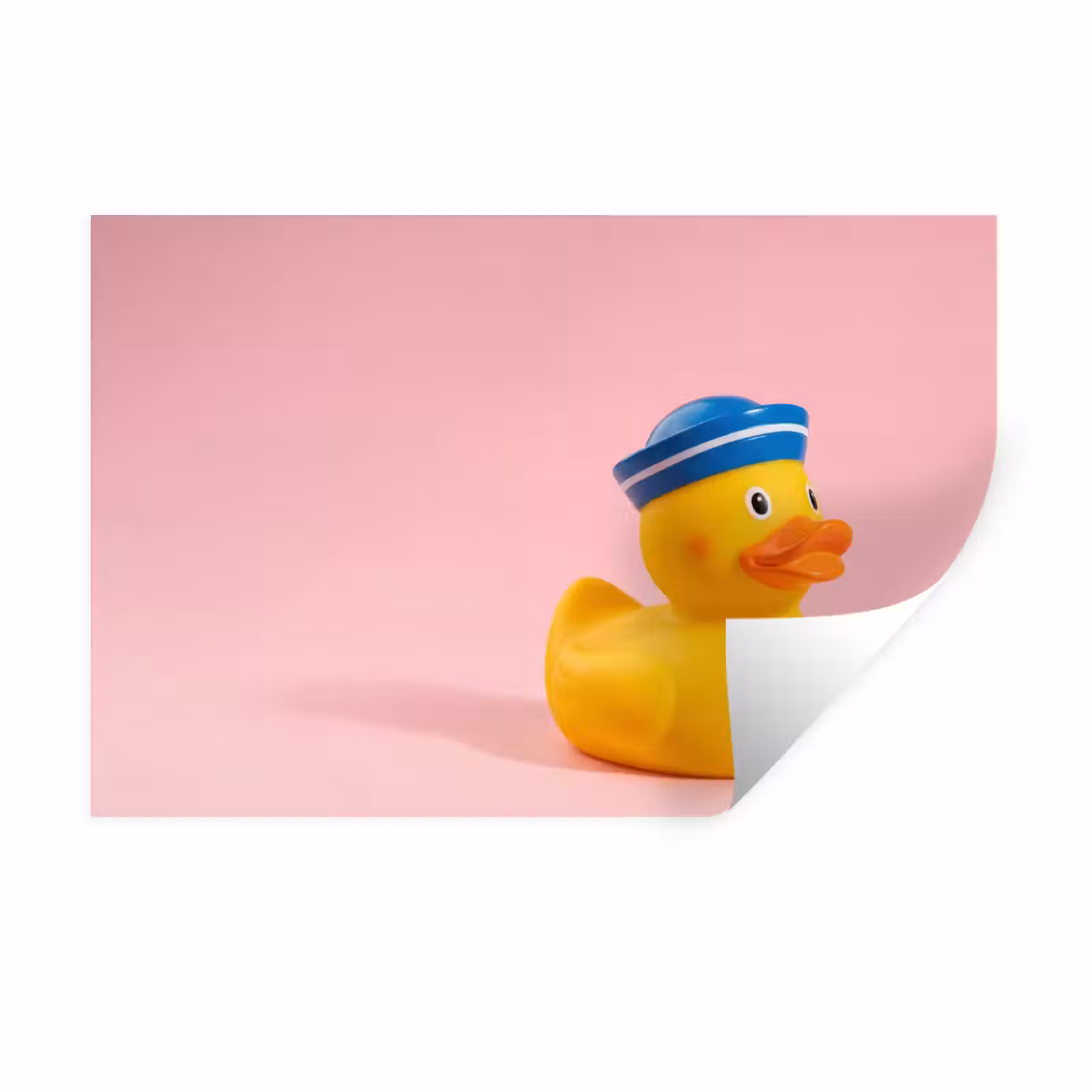 Muursticker - Matroos - Eend - Roze — 1