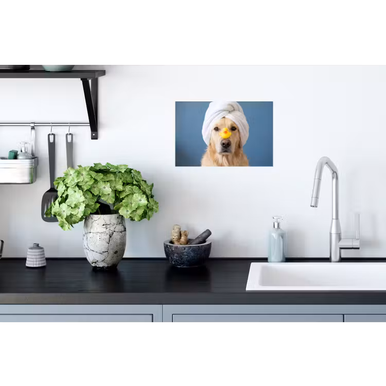 Muursticker - Hond - Badeend - Geel — 2