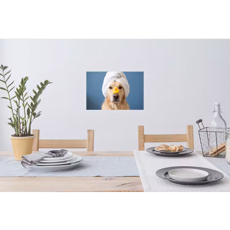 Muursticker - Hond - Badeend - Geel — 3