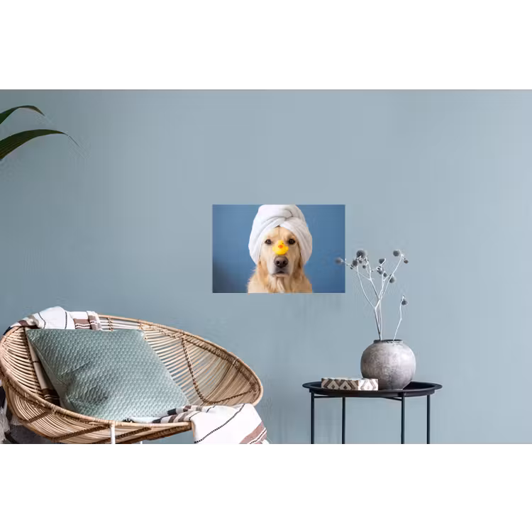 Muursticker - Hond - Badeend - Geel — 4