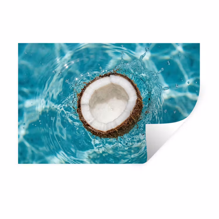 Muursticker - Kokosnoot - Water - Wit — 1