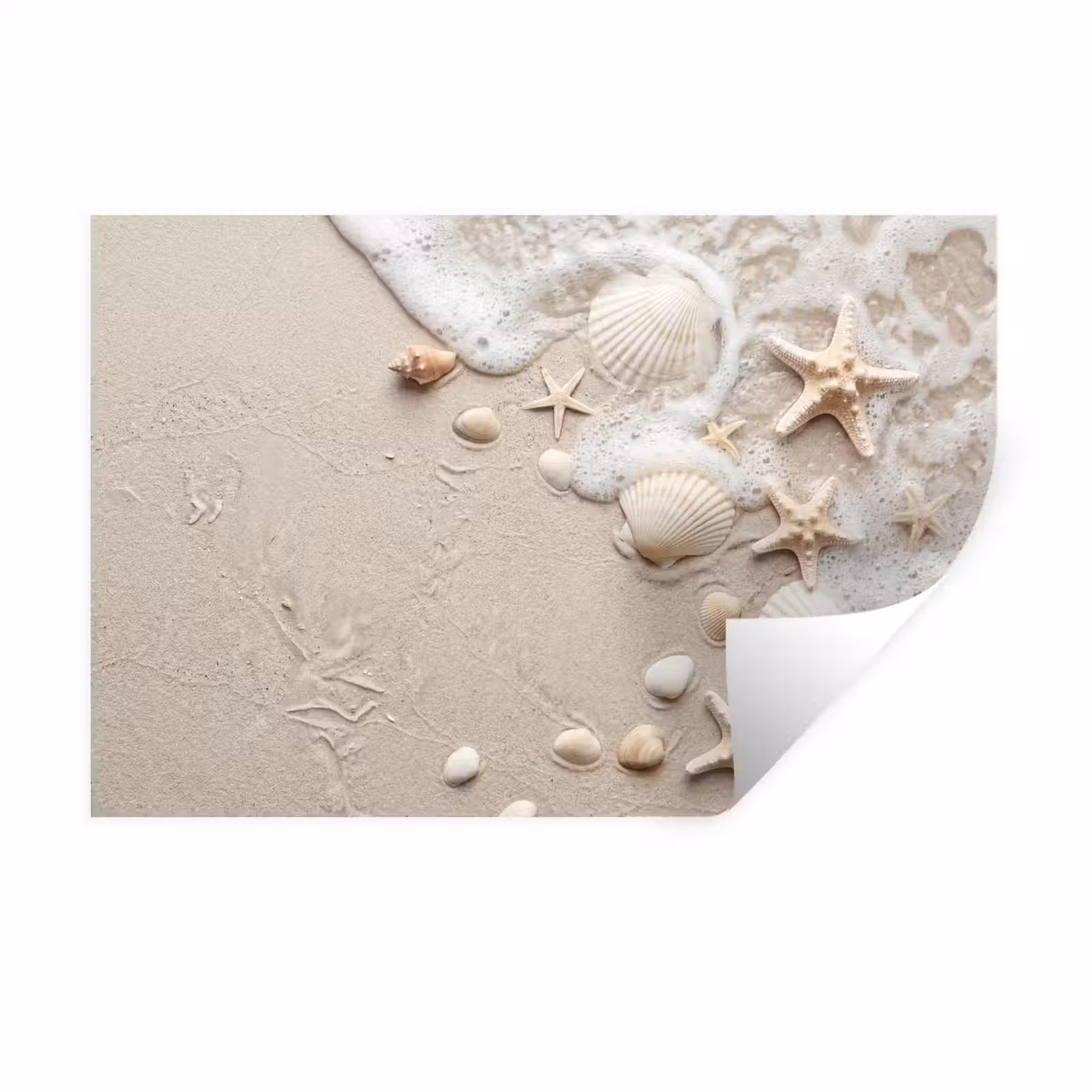 Muursticker - Schelpen - Zeesterren - Strand — 1
