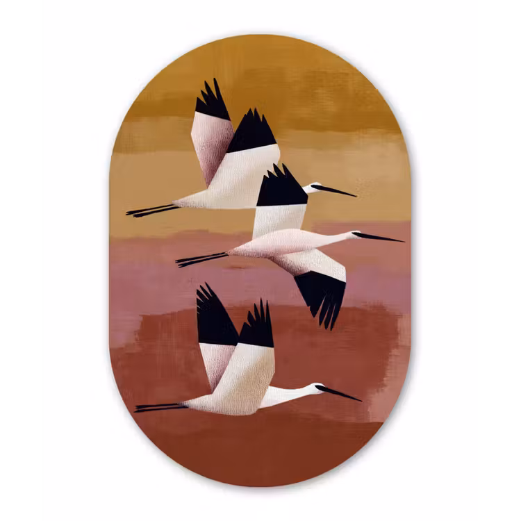 Muurovaal - Kunststof - Vogels - Snavel - Abstract — 3
