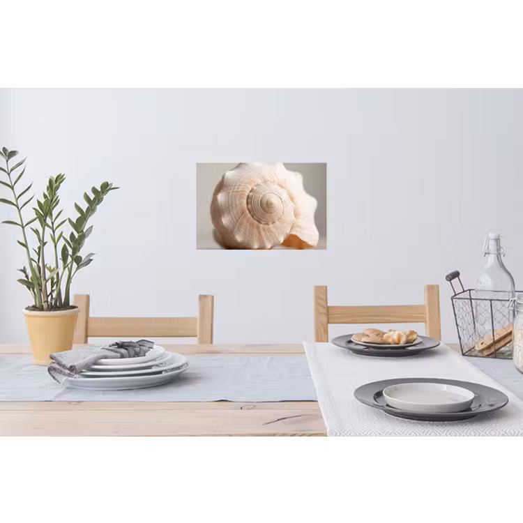 Muursticker - Schelp - Detail - Beige — 3