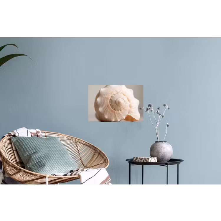 Muursticker - Schelp - Detail - Beige — 4