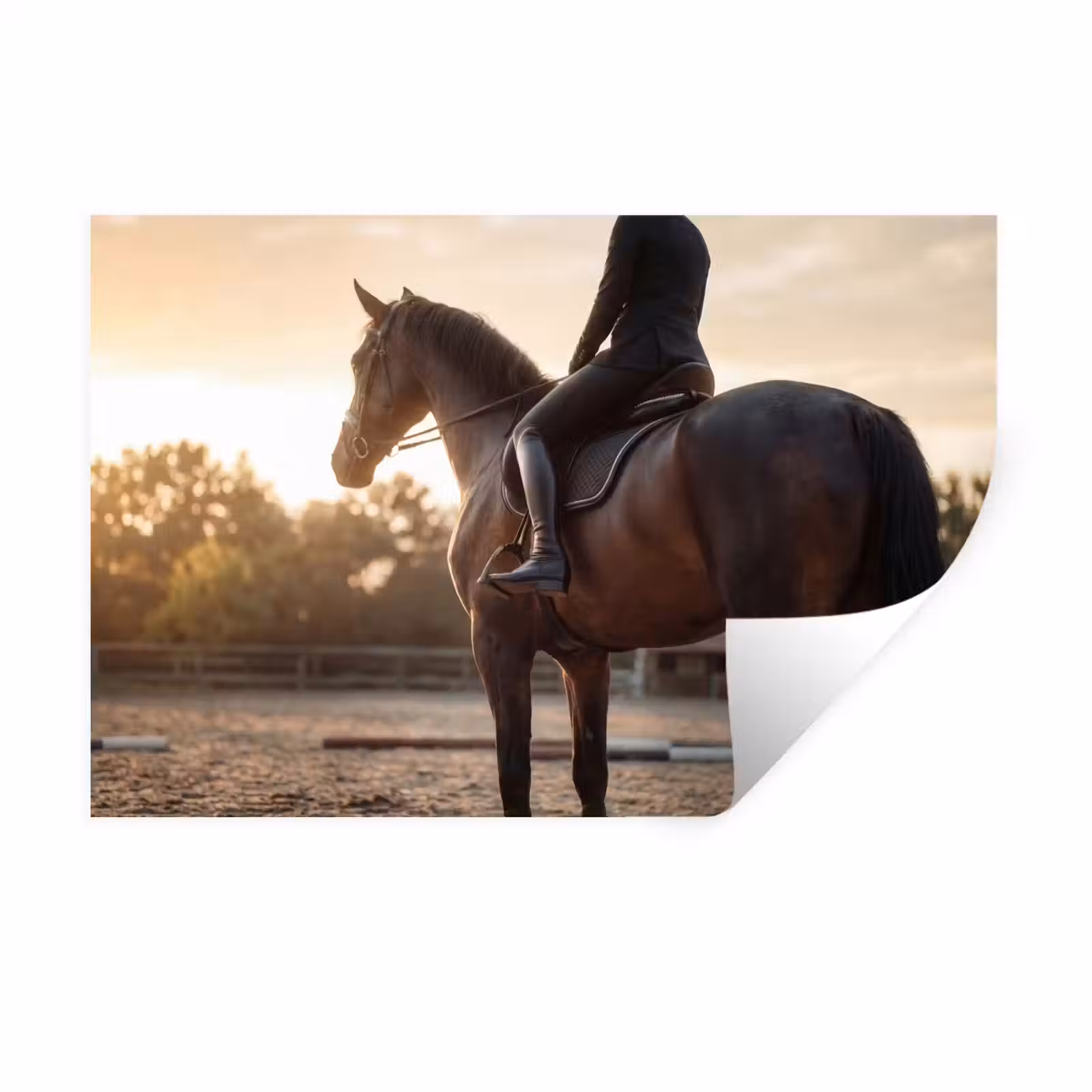 Muursticker - Harmonie - Ruiter - Zon — 1