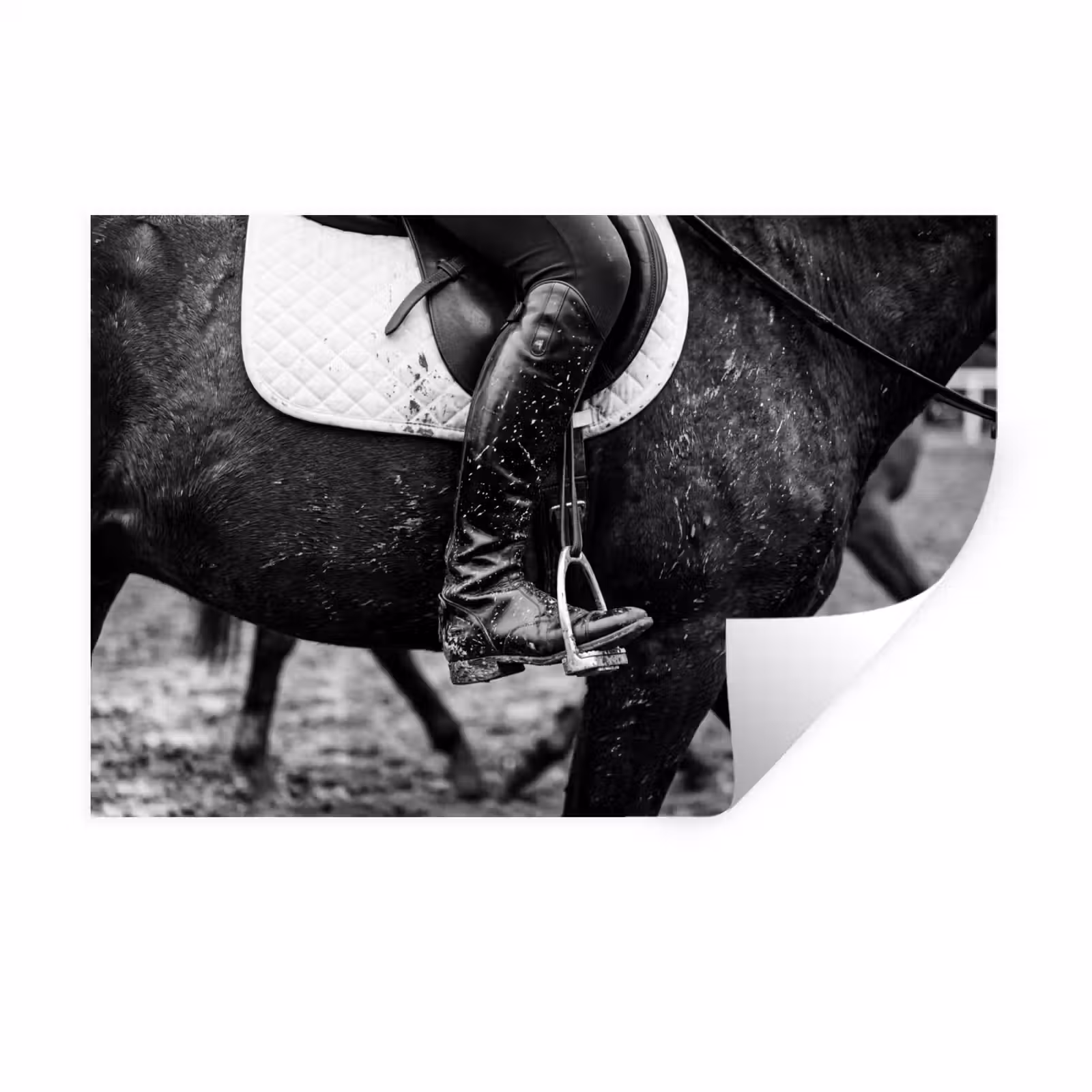 Muursticker - Paard - Sport - Zwart - Wit — 1